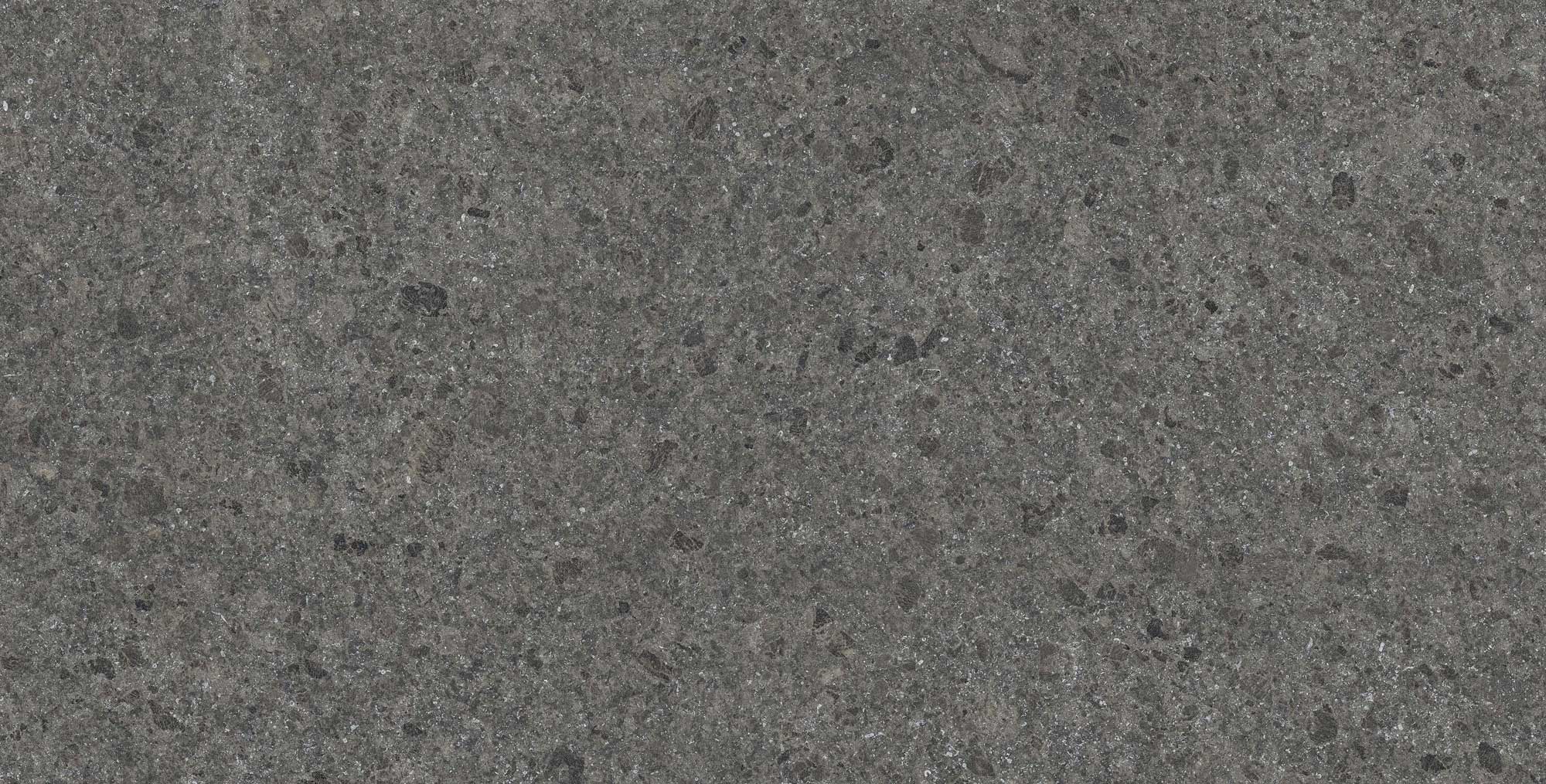 Deep Stone Grey|60x120 cm / Matt / Color Body / Anti Slip